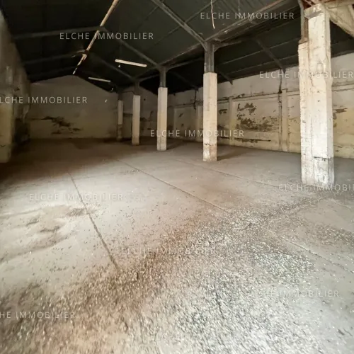 Vente Terrain Oran Oran