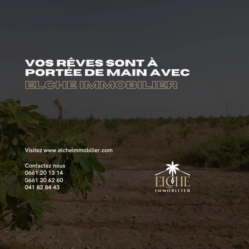 Vente Terrain Oran El Kerma