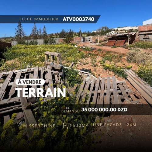 Vente Terrain Oran Misseghine