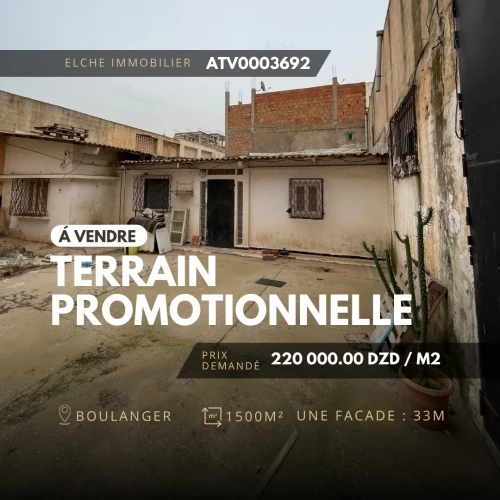Vente Terrain Oran Oran
