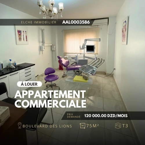 Location Appartement Oran Bir el djir