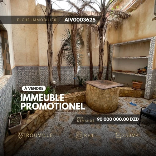 Vente Immeuble Oran Ain el turck