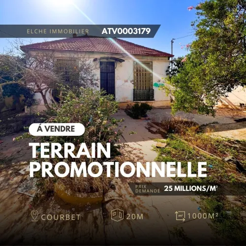 Vente Terrain Oran Oran