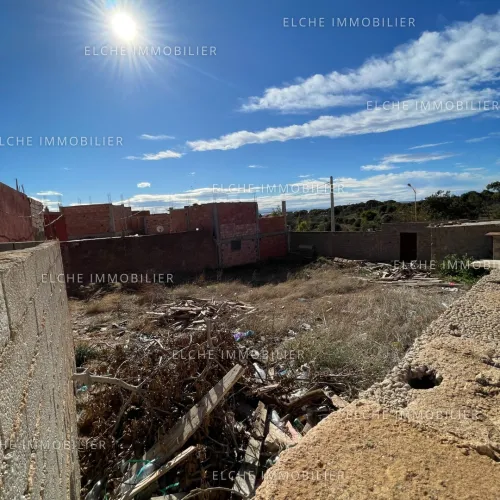 Vente Terrain Oran Boutlelis