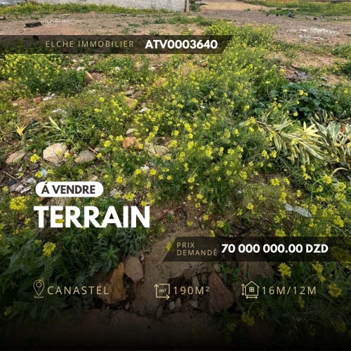 Vente Terrain Oran Bir el djir