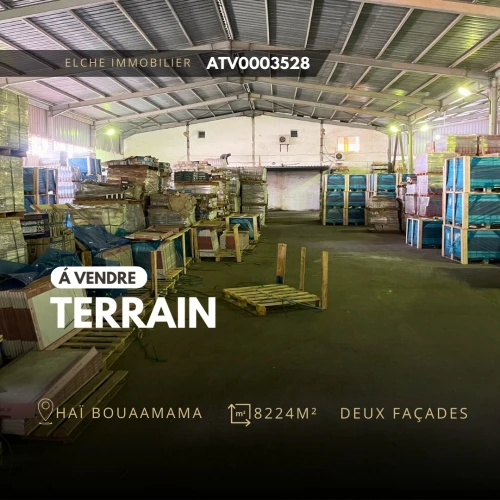 Vente Terrain Oran Es senia