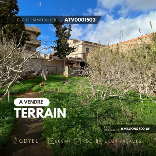 Vente Terrain Oran Oran
