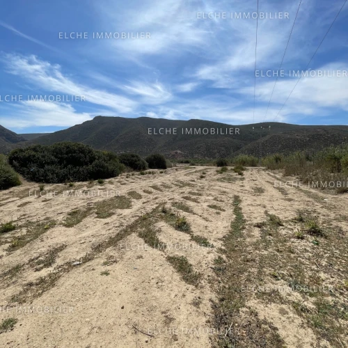 Vente Terrain Oran Ain el kerma