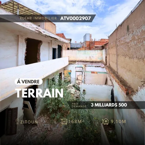 Vente Terrain Oran Oran