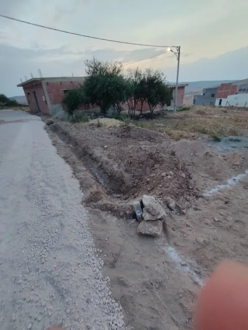 Vente Terrain Tlemcen Msirda fouaga