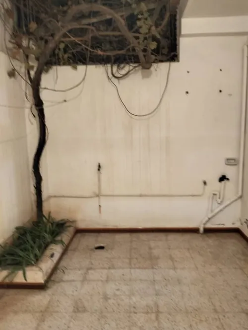 Location Appartement F3 Alger Birkhadem