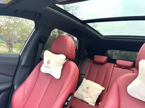 DF Joyear  T5 EVO 2023 Luxury