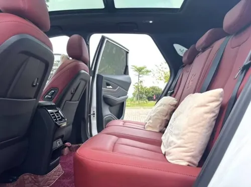 DF Joyear  T5 EVO 2023 Luxury