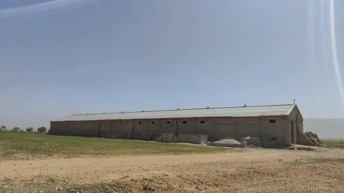Location bien immobilier Batna Talkhamt