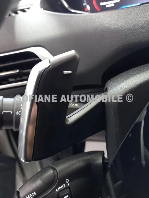 Peugeot 3008 2019 GT LINE