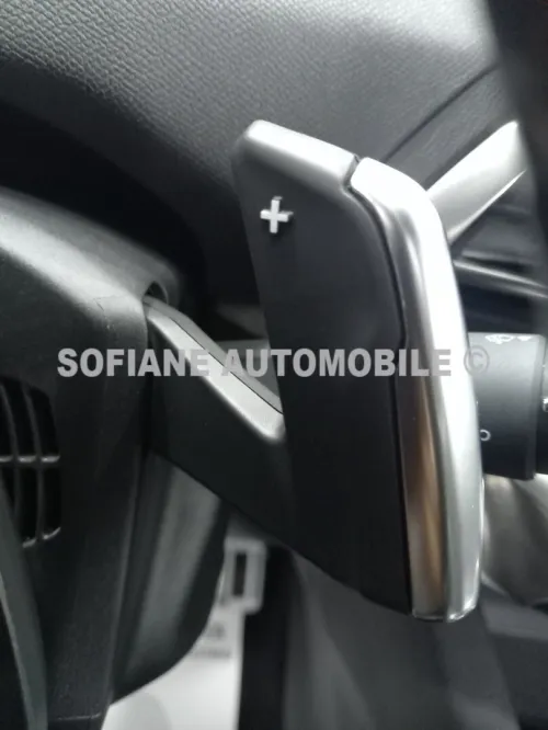 Peugeot 3008 2022 GT