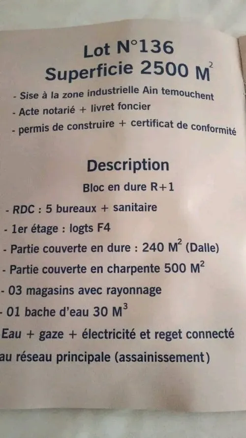 Vente Hangar Aïn Témouchent Ain temouchent