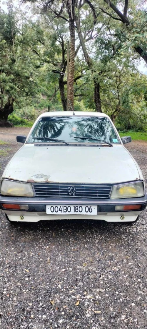 Peugeot 505 1980 505