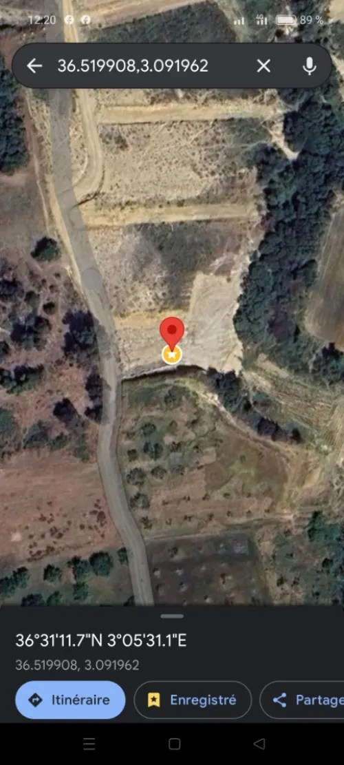 Vente Terrain Blida Bougara