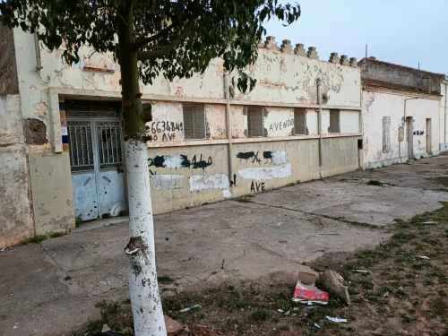 Vente bien immobilier Ain temouchent Chaabet el ham