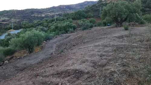 Vente Terrain Agricole Béjaïa Chelata