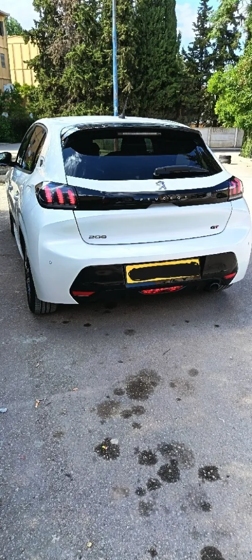 Peugeot 208 2021 Roadtrip