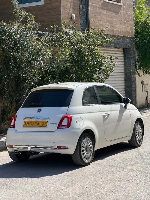 Fiat 500 2025 Cult MIB