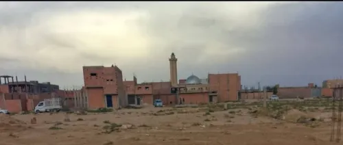 Vente Terrain Djelfa Djelfa