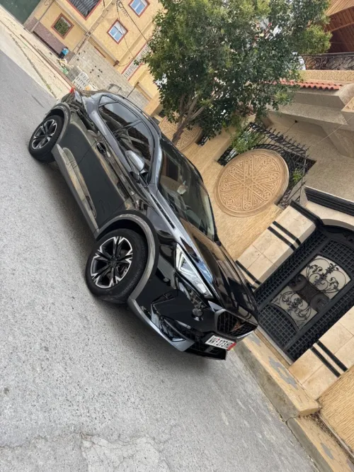 Cupra  Fermentor 2023 Esss