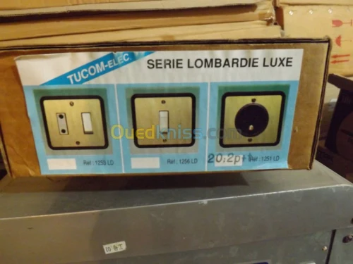 Interrupteur et prise électrique 