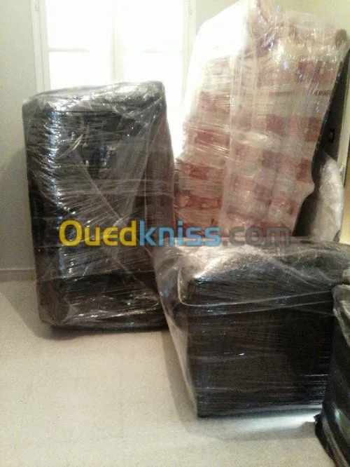 DEMENAGEMENT /PARTICULIER/ MANUTENTION