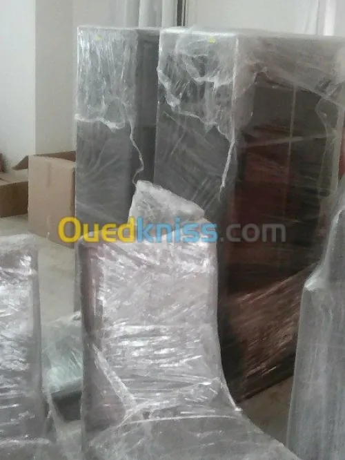 DEMENAGEMENT /PARTICULIER/ MANUTENTION