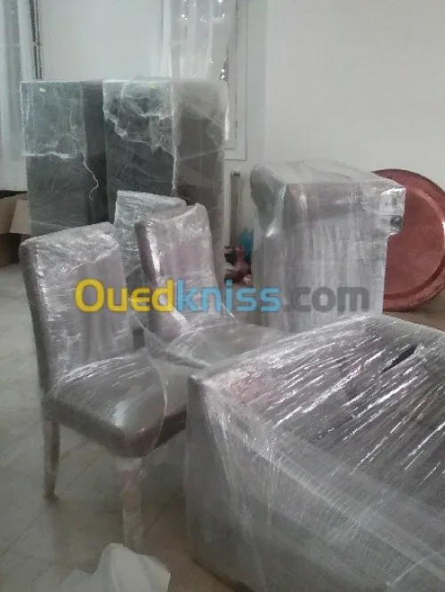 DEMENAGEMENT /PARTICULIER/ MANUTENTION