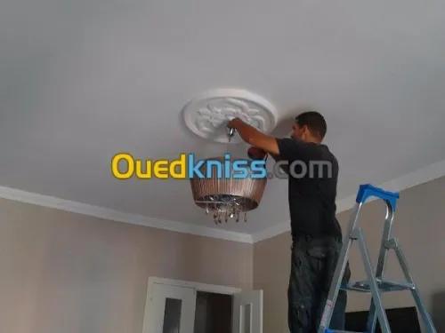 DEMENAGEMENT PARTICULIER ENTREPRISES B