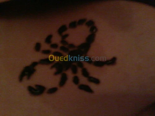 TATOO HENNE NOIR (HARKOUSSE)