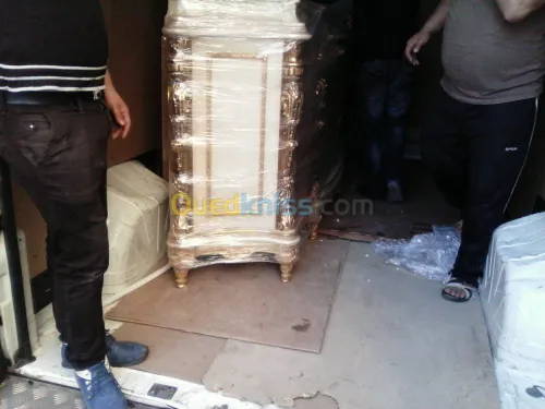 DÉMÉNAGEMENT/PARTICULIER/ENTREPRISE__