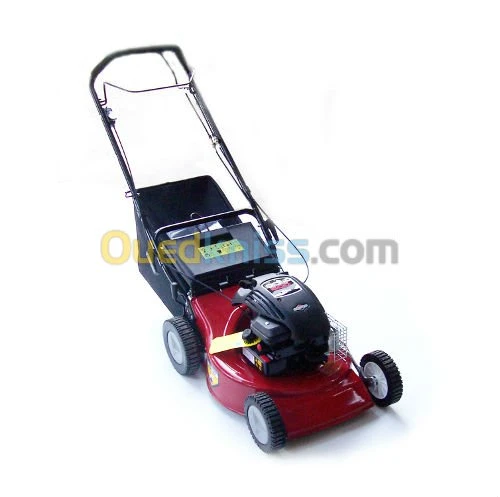 TONDEUSE THRMIQUE  &  ELECTRIQUE 