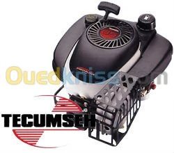 TONDEUSE THRMIQUE  &  ELECTRIQUE 