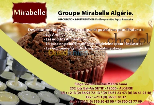 Muffins Madeleines Caissette 