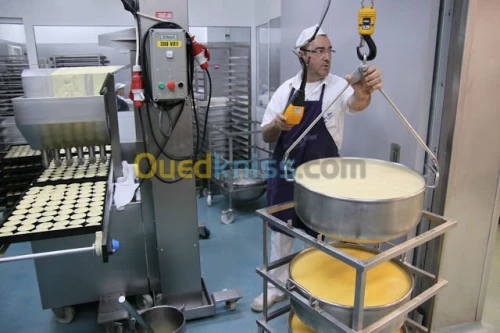 Muffins Madeleines Caissette 