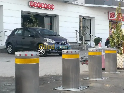 Portail et ridaux automatique  
