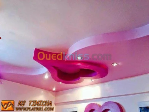 travaux d placo platre pvc demontable 