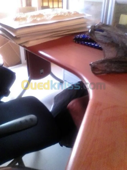 DÉMÉNAGEMENT TRANSPORT نقل والترحيل*