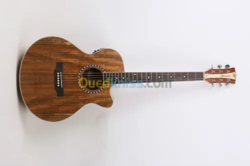 guitare armonias elctro aquoustique