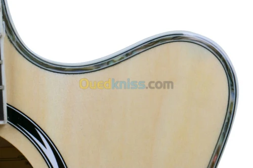 guitar armonias slim elctro aquos at40