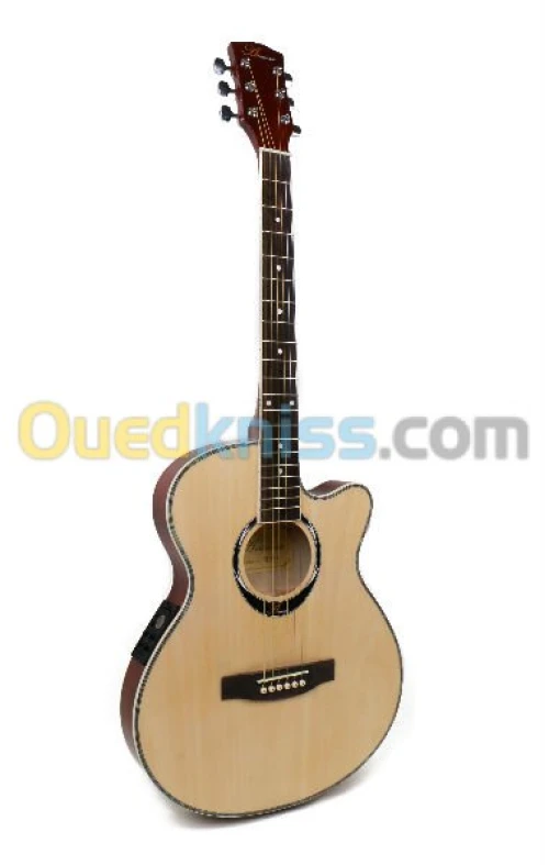 guitar armonias slim elctro aquos at40