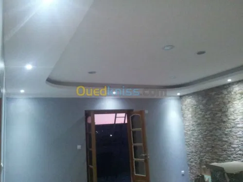 BA 13 placoplatre  & pvc