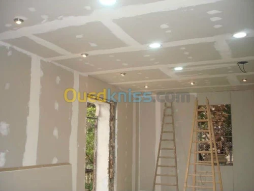 Ba 13 faux plafond et separation rapid