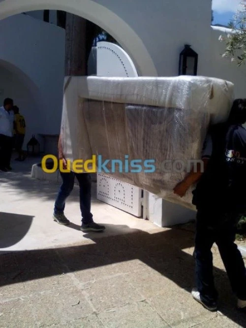 ~DÉMÉNAGEMENT TRANSPORT MANUTENTION