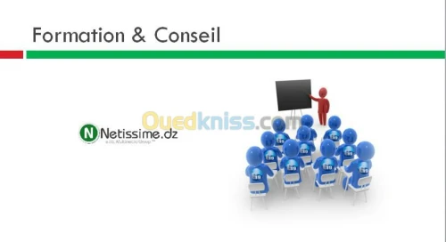 SERVICES INFORMATIQUES ET TELECOM 